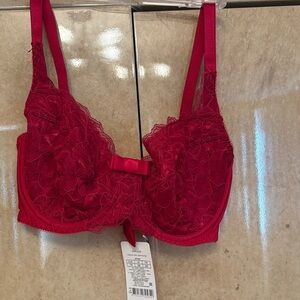 Lauma Lingerie Vibrant Lace Bra 32 E